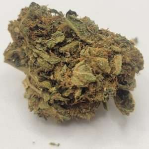 Is image of slurry cane available for we delivery Halifax