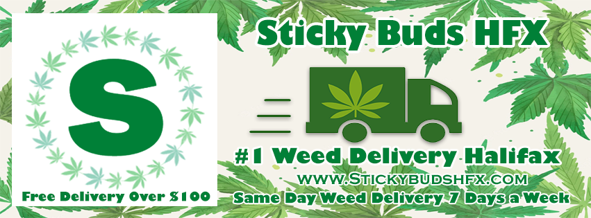 Premium Weed Strains are Highly Sought After